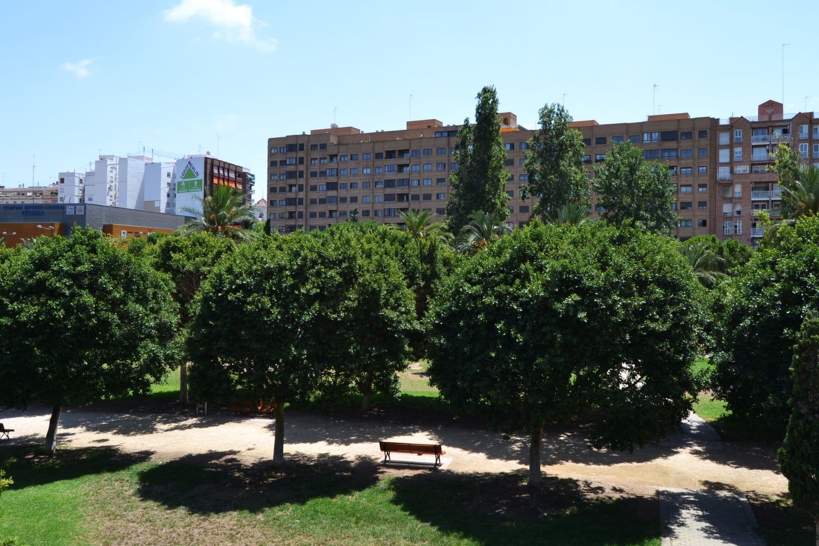 Les orangers et les allées du Jardí del Túria, l’ancien lit du fleuve devenu parc, à Valencia