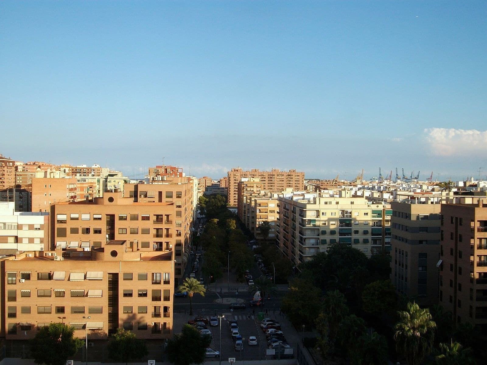 Le carrer de Campoamor à Ciutat Jardí vu d’en haut : rue plantée d’arbres entre des immeubles d’habitation en brique et en crépi clair, grues du port à l’horizon (Valencia)