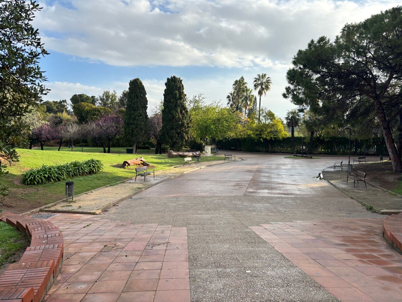 Allée du parc de Benicalap entre pelouses, cyprès, pins et palmiers, avec des bancs (Valencia)