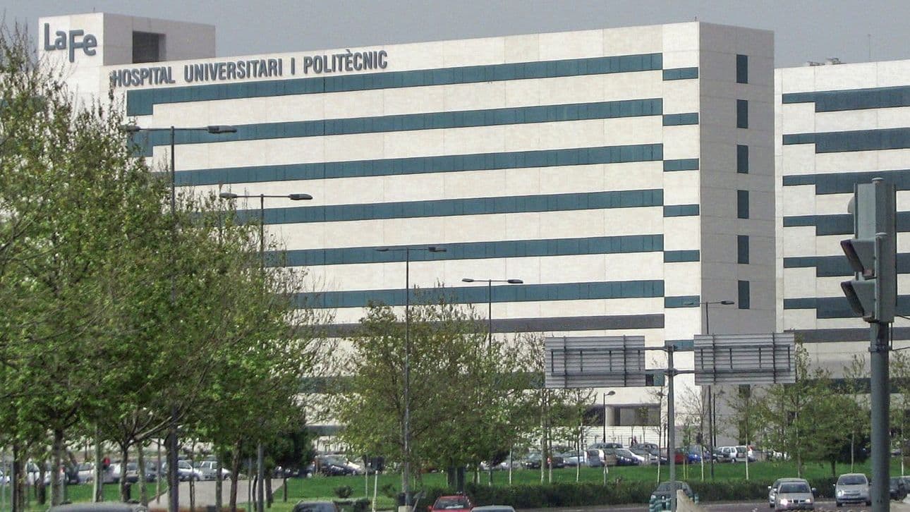 Les bâtiments de l’Hôpital universitaire et polytechnique La Fe, le grand hôpital public de Valencia, vus depuis l’avenue qui y mène