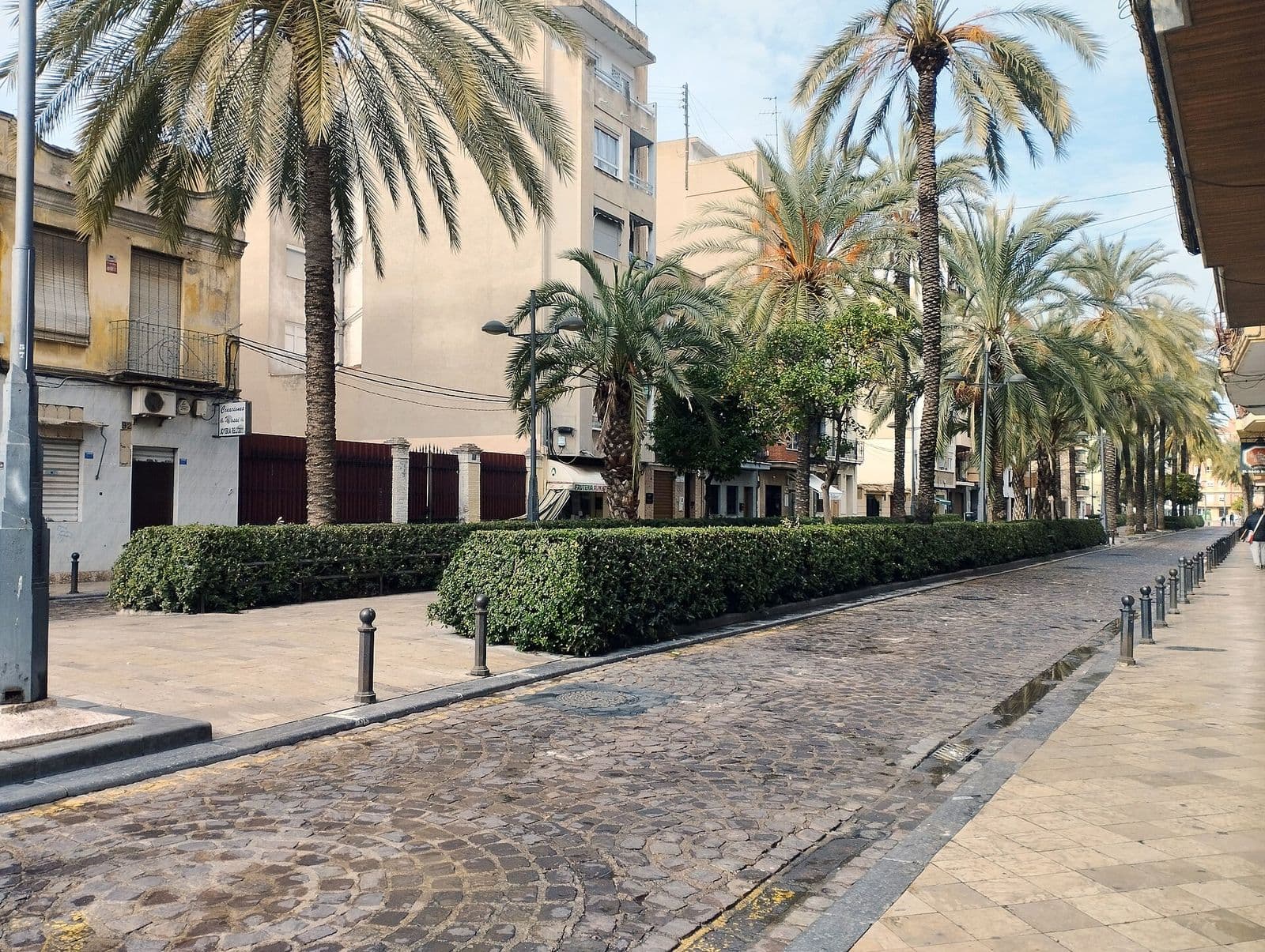 Rue piétonne pavée de Nazaret bordée de palmiers et de haies taillées, devant des immeubles d’habitation aux façades claires (Valencia)
