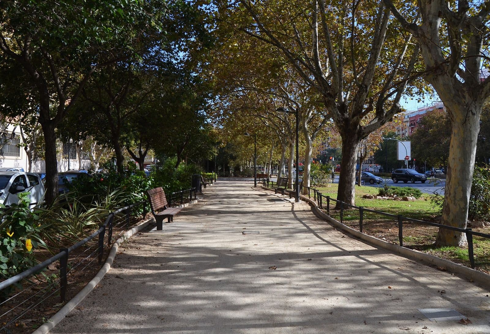 Allée de gravier ombragée par des platanes, bancs et massifs plantés, dans le jardin central de l’avenue Blasco Ibáñez (Valencia)