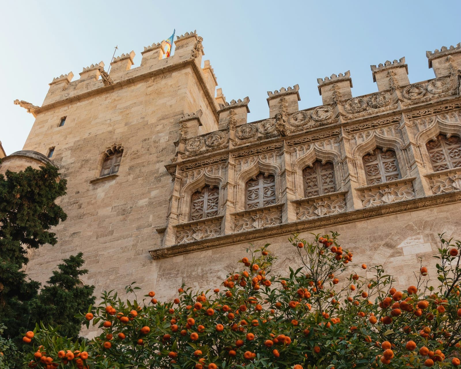 La Llotja de la Seda, ancienne bourse gothique de Valencia, derrière un oranger chargé de fruits