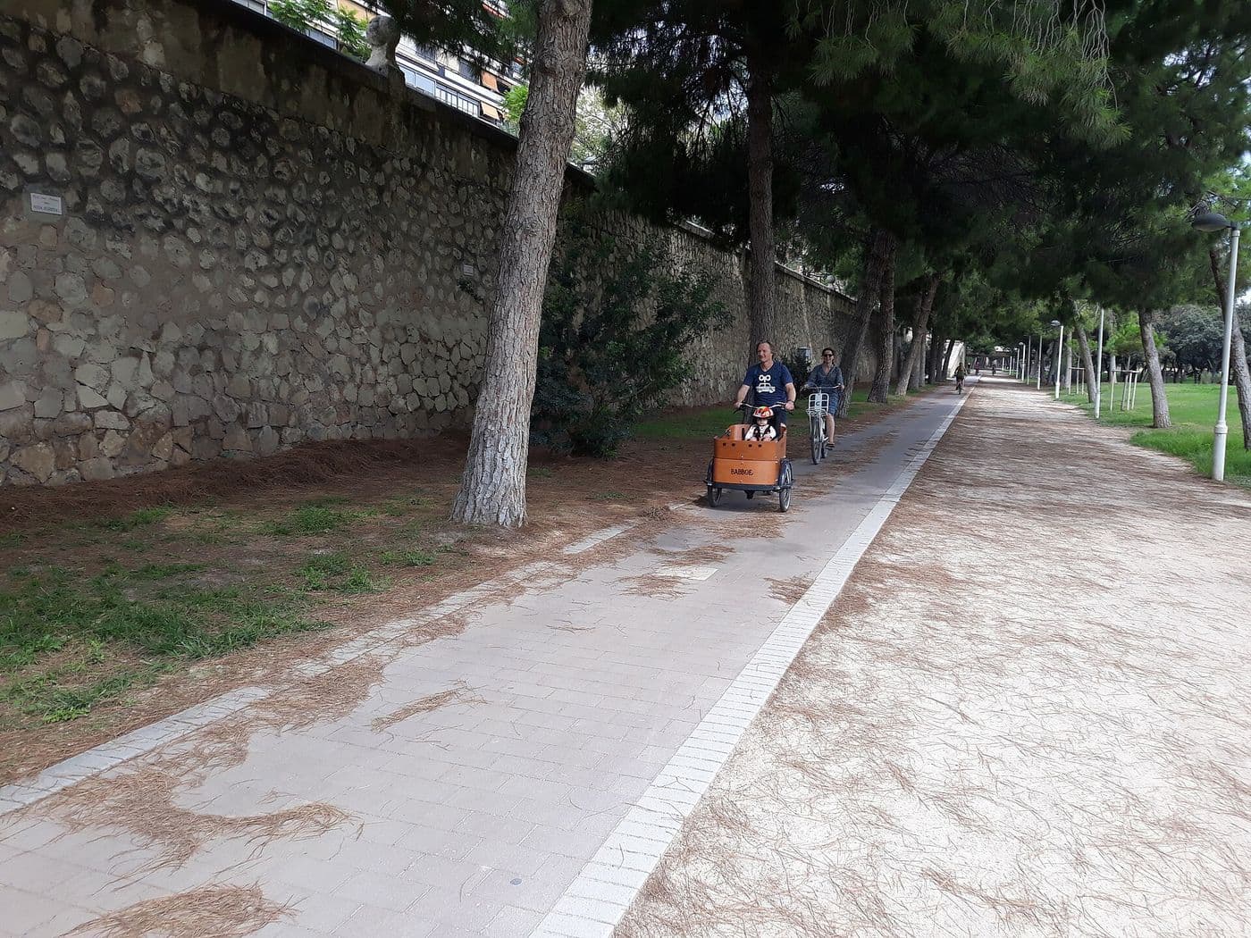 Un vélo cargo qui transporte un enfant, suivi d’une cycliste, sur la piste cyclable du Jardí del Túria, sous les pins, à Valencia